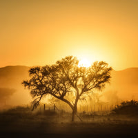 canvas-print-golden-sunrise