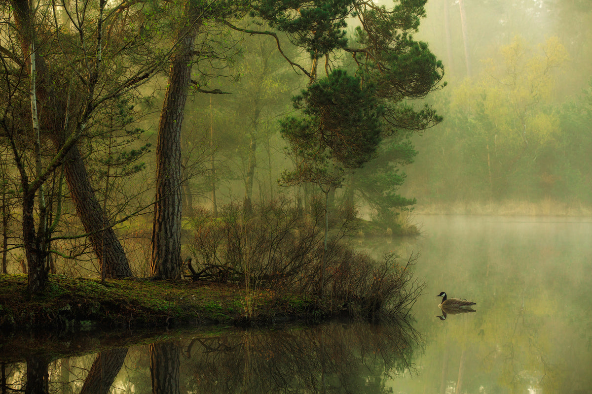 canvas-print-mood-of-spring-x