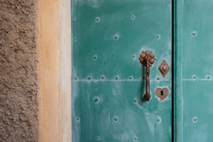 framedcanvas-print-the-special-door