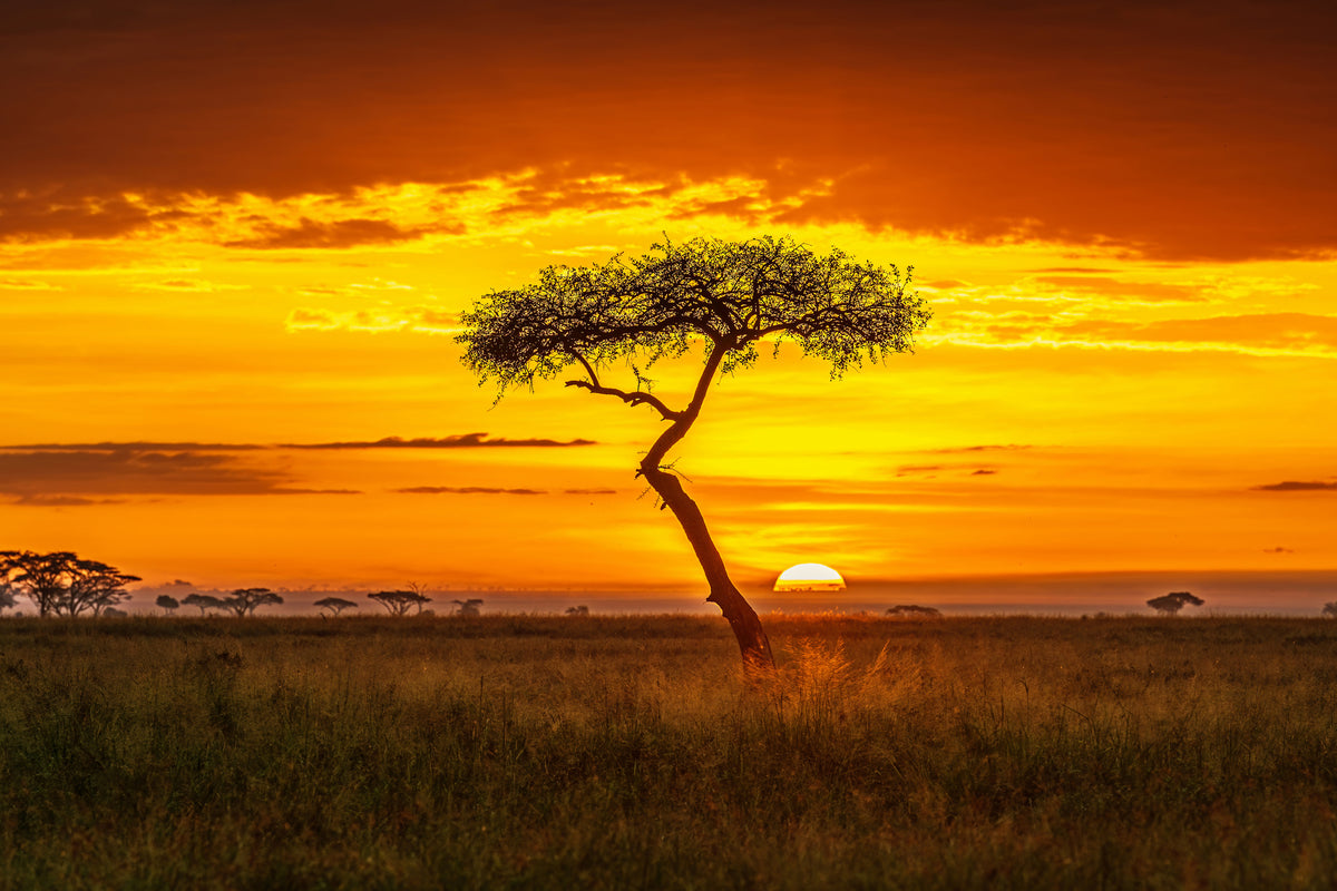 poster-print-primordial-africa-x