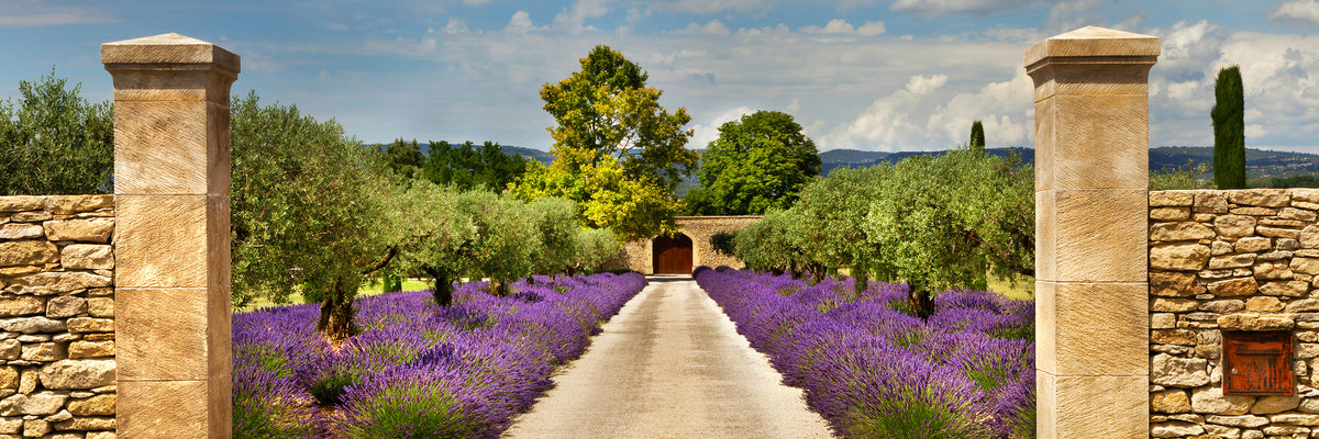 panoramic-3-piece-canvas-print-lavender-garden-panorama