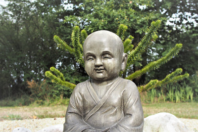 poster-print-the-wise-buddha
