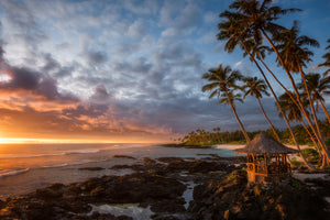 aluminium-print-return-to-paradise
