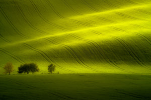 aluminium-print-sunlight-xow