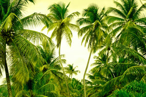 3-piece-canvas-print-mural-ready-for-a-vacation
