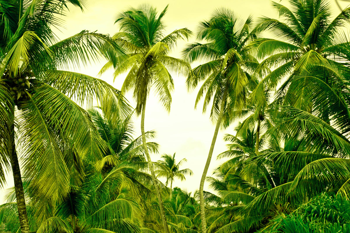 3-piece-canvas-print-mural-ready-for-a-vacation