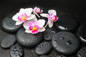 acrylic-print-feng-shui-orchid-zen
