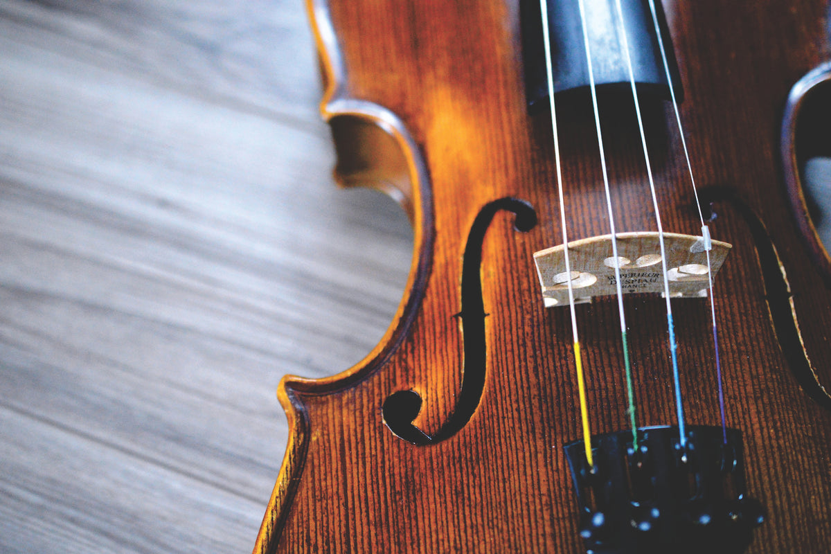 framedcanvas-print-close-up-violin-ii