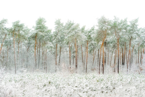 3-piece-canvas-print-snow-world
