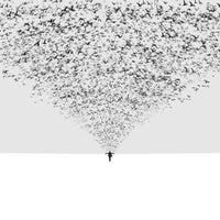 9-piece-aluminium-print-the-dark-half