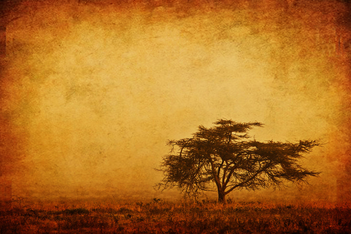 modern-3-piece-canvas-print-sunset-mood