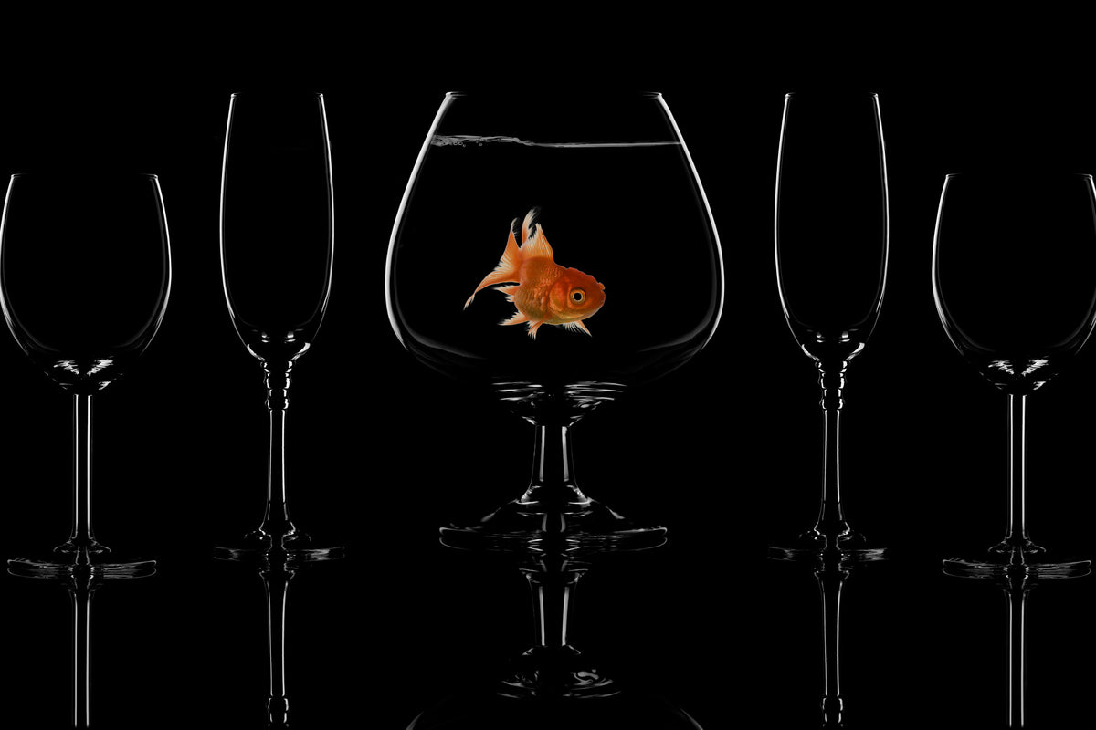framedposter-print-glass-fish