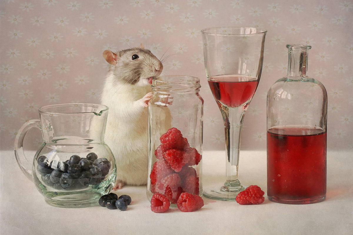 canvas-print-snoozy-with-fruit-x