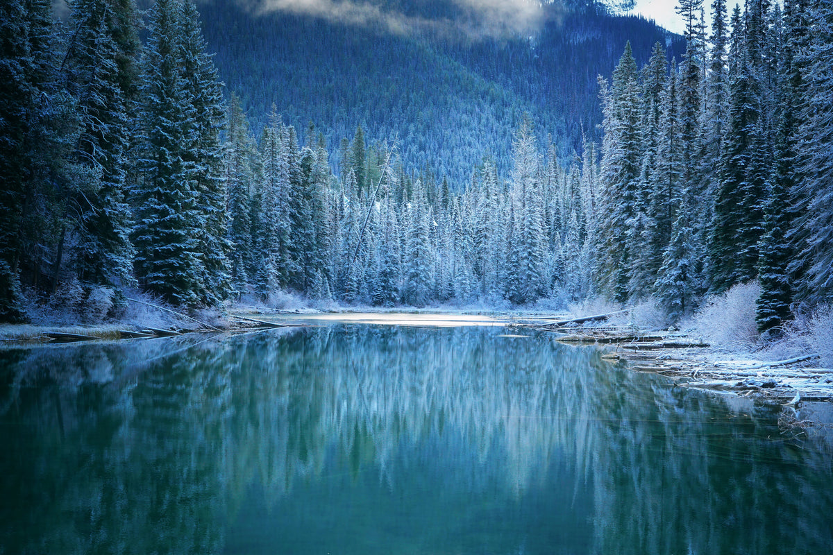 poster-print-wonder-winter-land-x