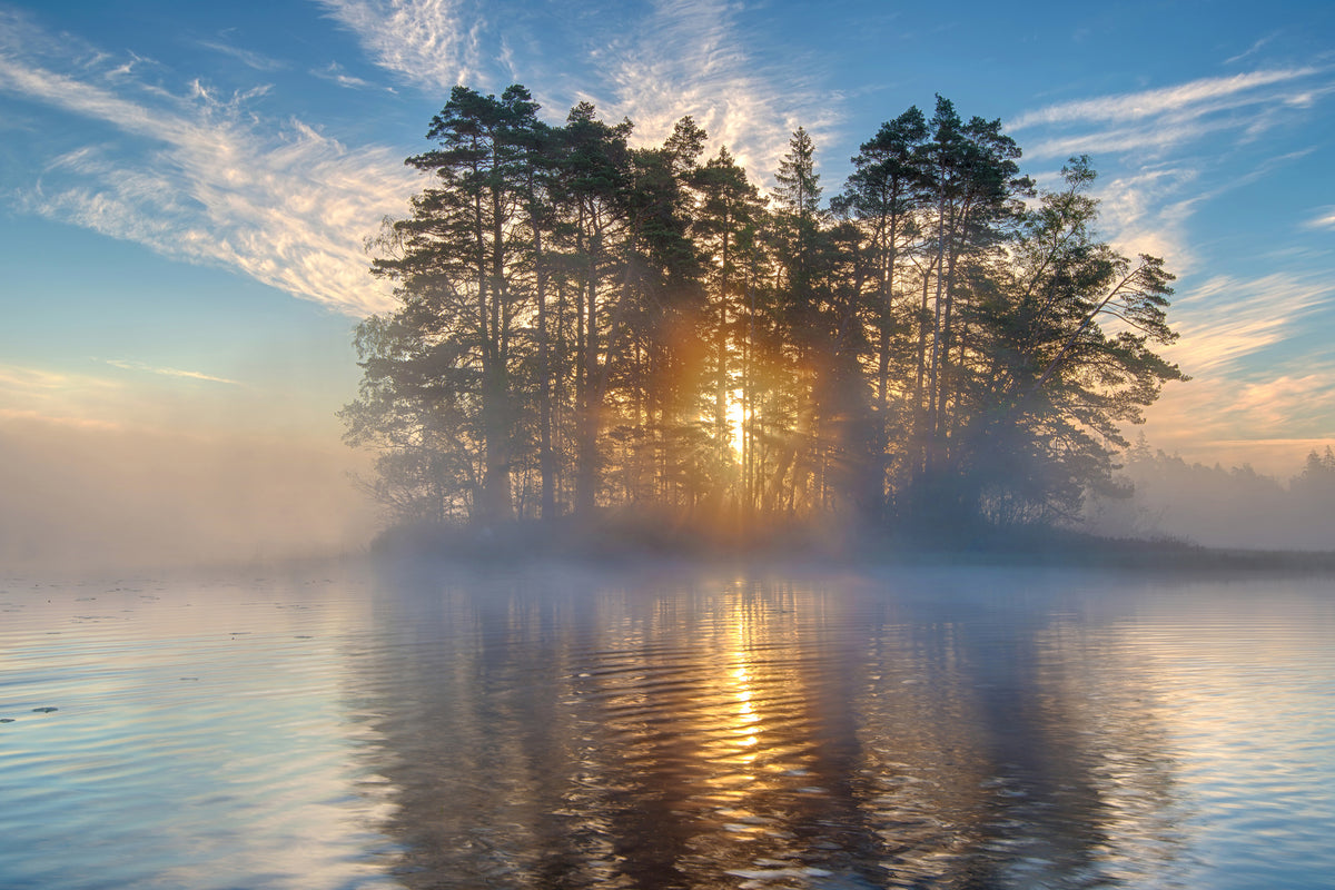 poster-print-morning-light-xmh