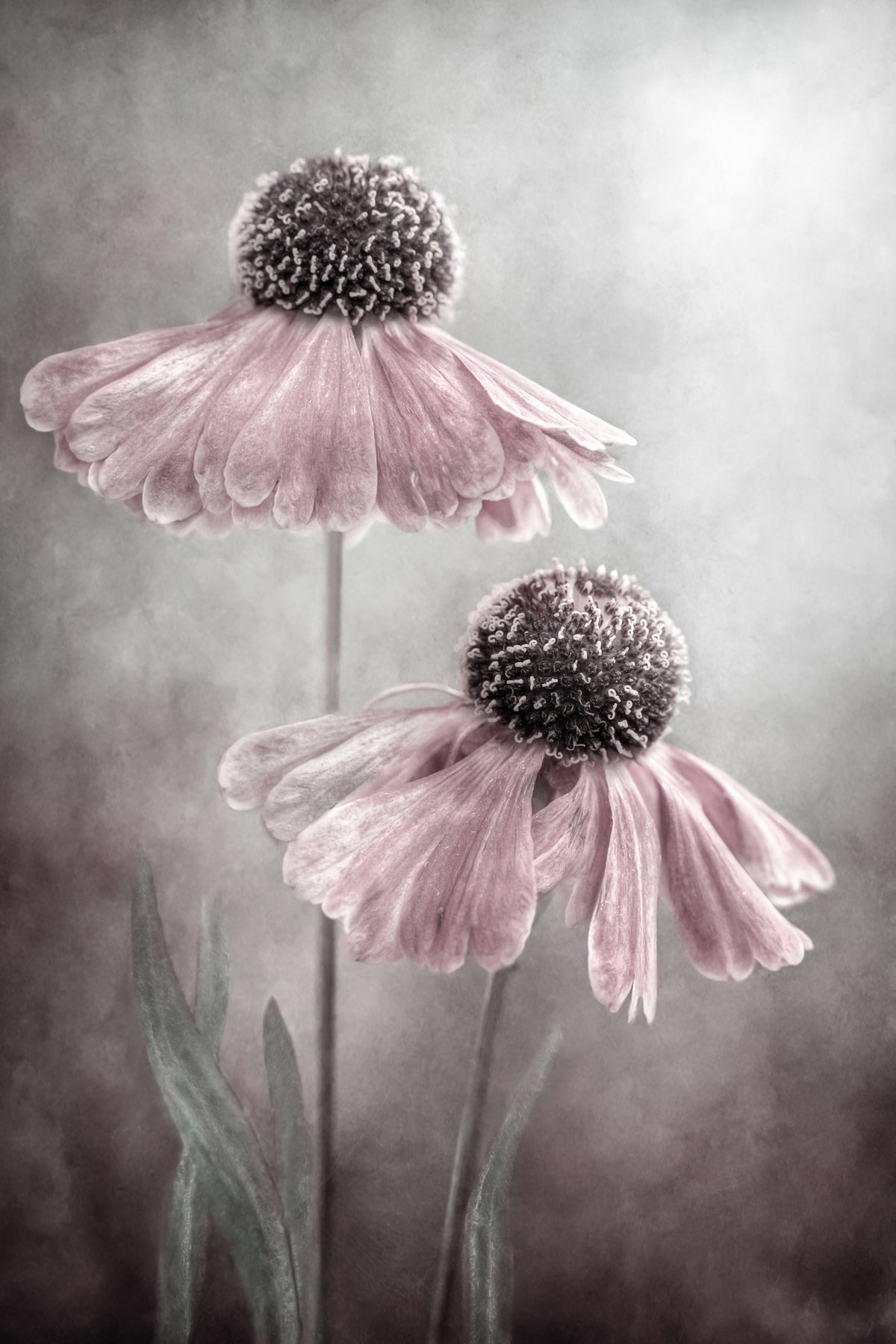 framedcanvas-print-duet-x