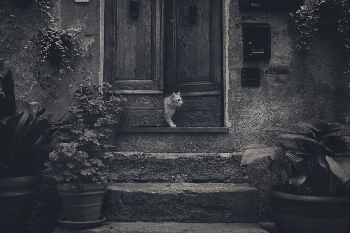 framedcanvas-print-awaiting-guests-x