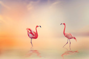 modern-3-piece-acrylic-print-romantic-flamingos
