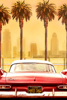 framedposter-print-plymouth-savoy-with-palms