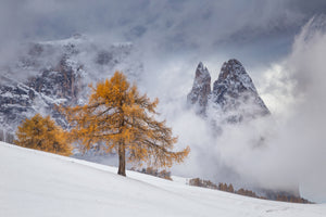 canvas-print-between-seasons-x