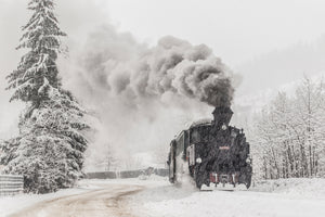 framedcanvas-print-winter-story-x