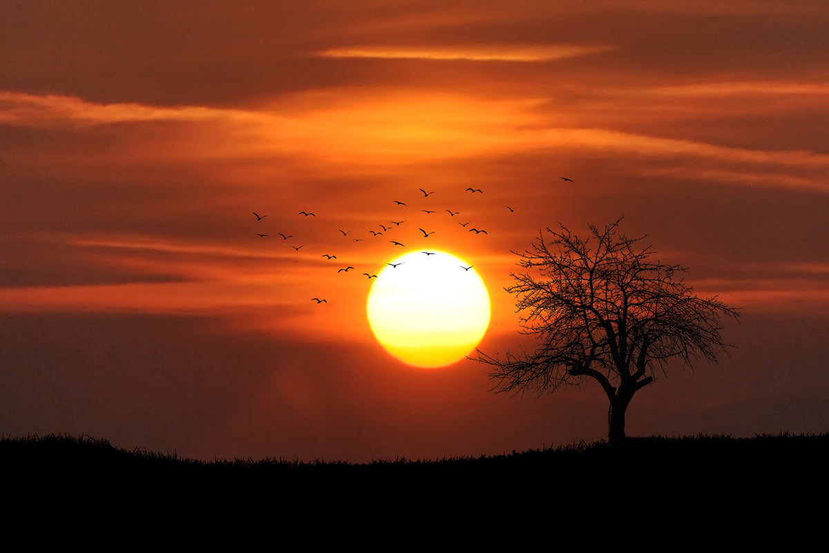3-piece-acrylic-print-the-sunset-on-the-horizon
