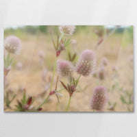 AC-075W050