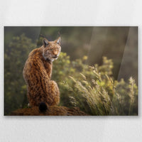 AC-030W020