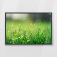 PK-093W062