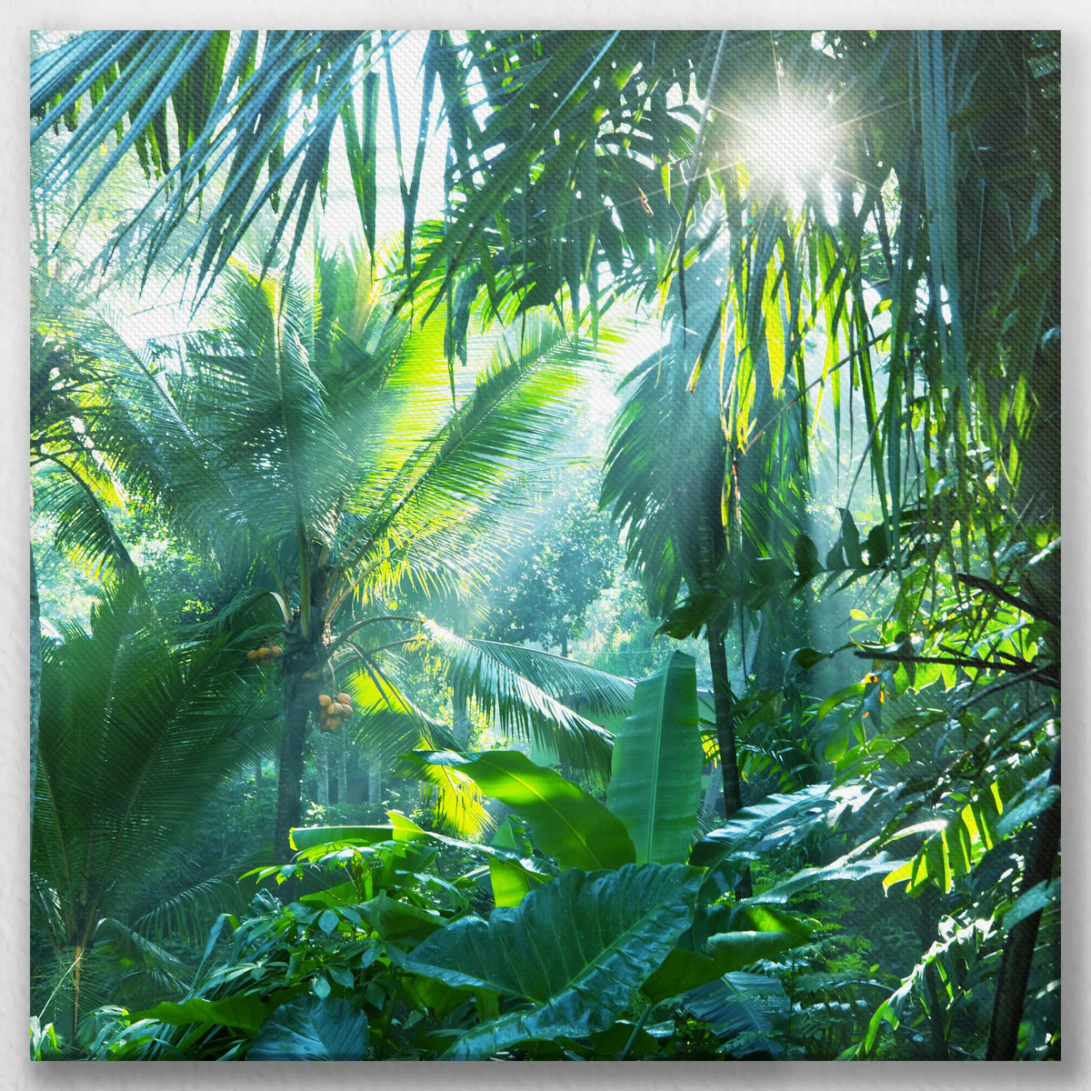 LW-060W060