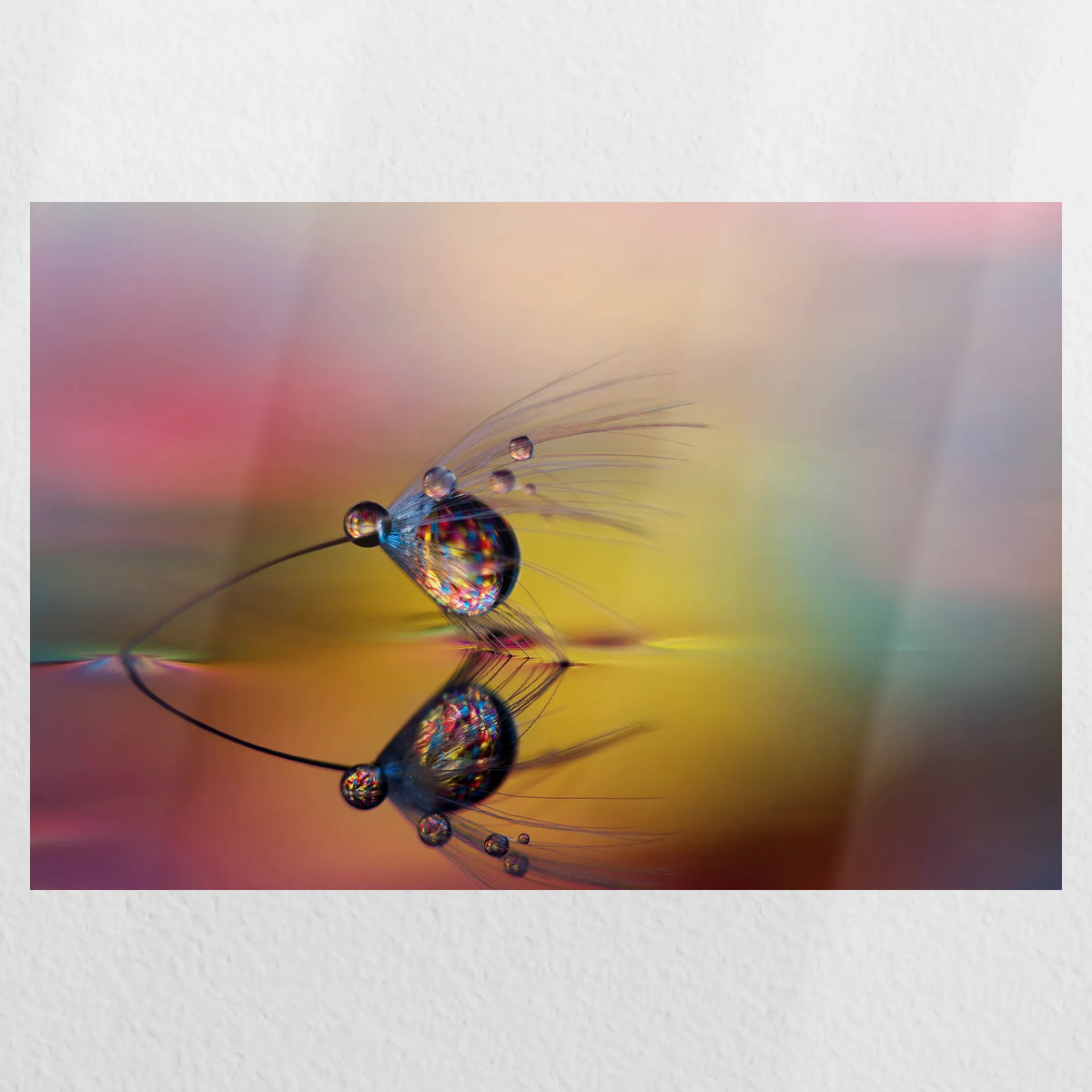 PO-045W030