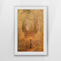 PSP080W120