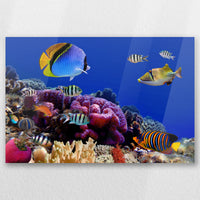 AC-030W020
