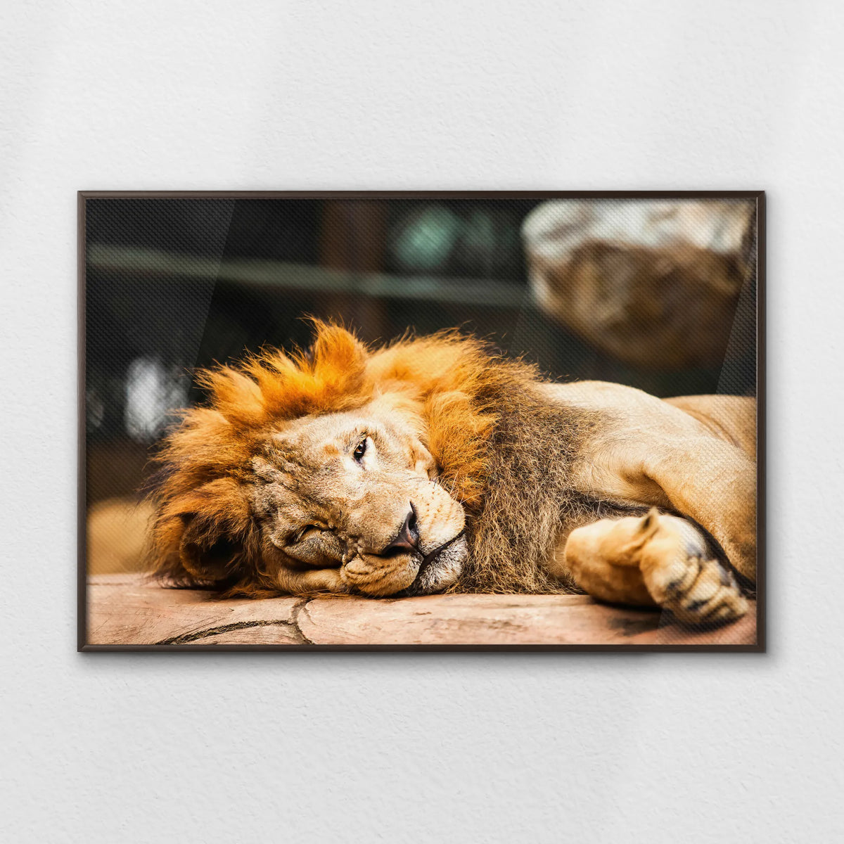 LWN120W080