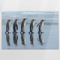 AC-120W080