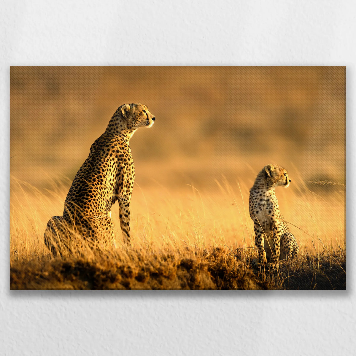 LW-075W050