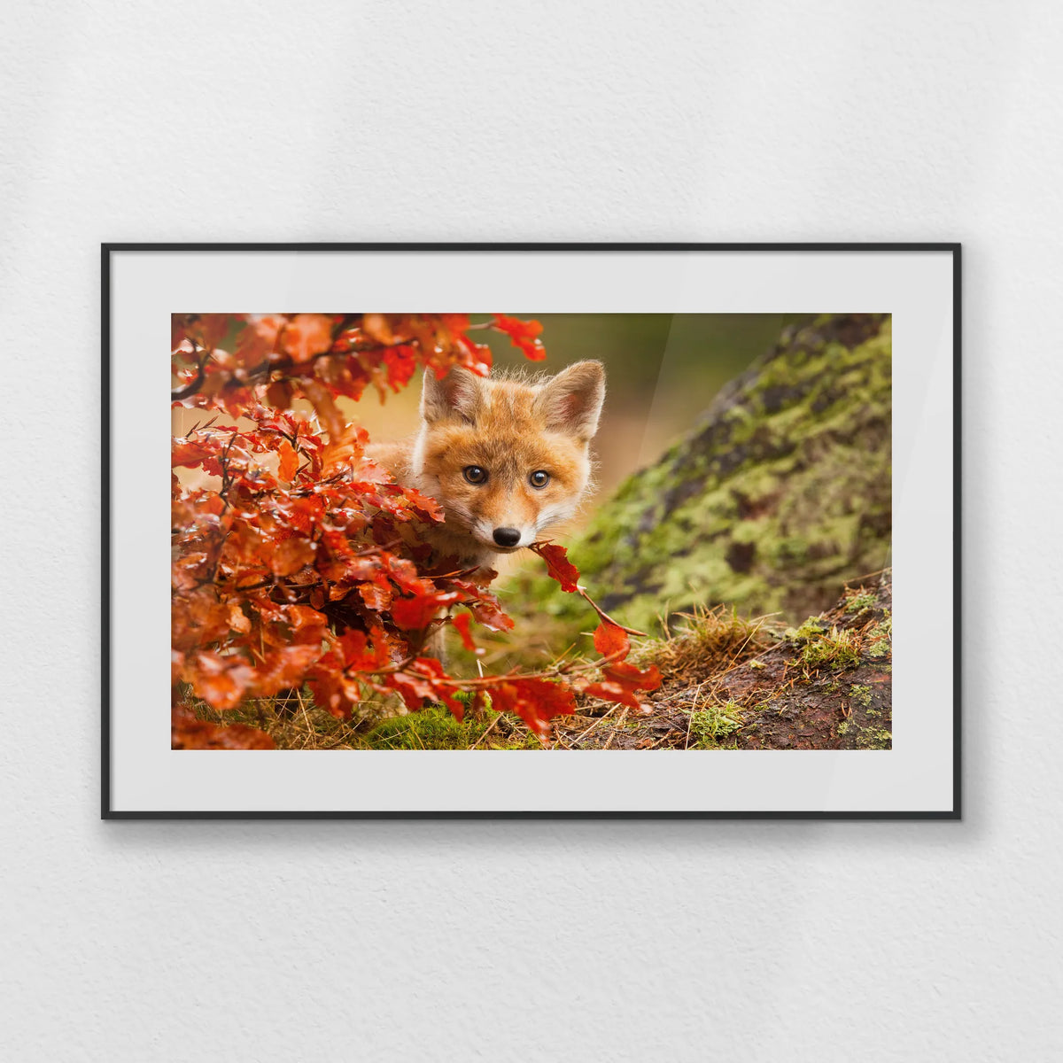 PBP093W062
