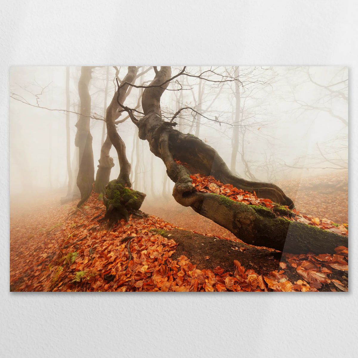 AC-120W080