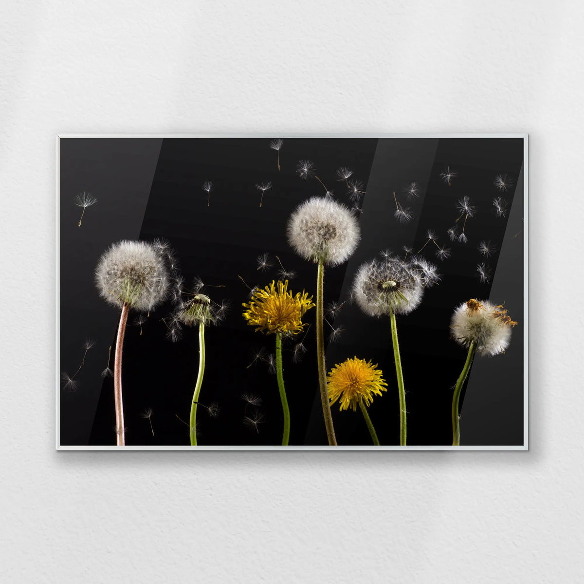 PS-093W062