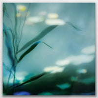 LW-070W070