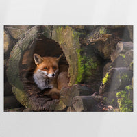 PO-090W060