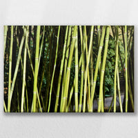 LW-045W030