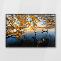 LWN120W080