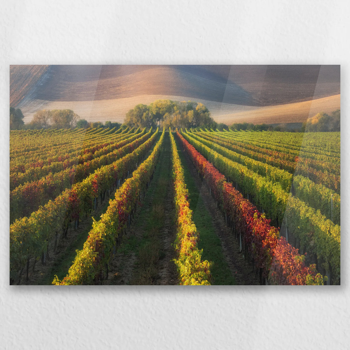 AC-030W020