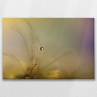 LW-075W050