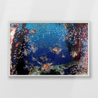 PW-093W062