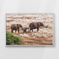 LWW120W080