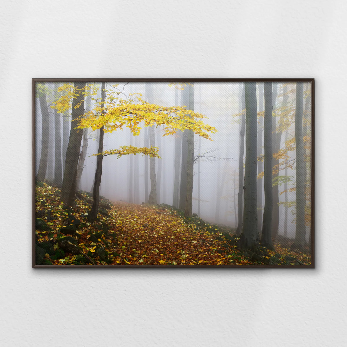 LWN120W080