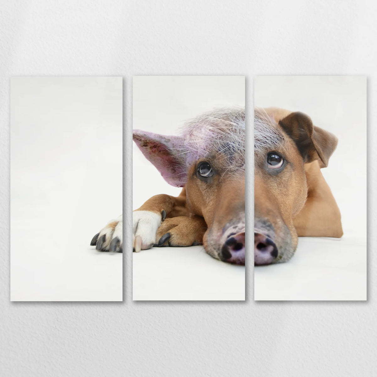 AL-150R100