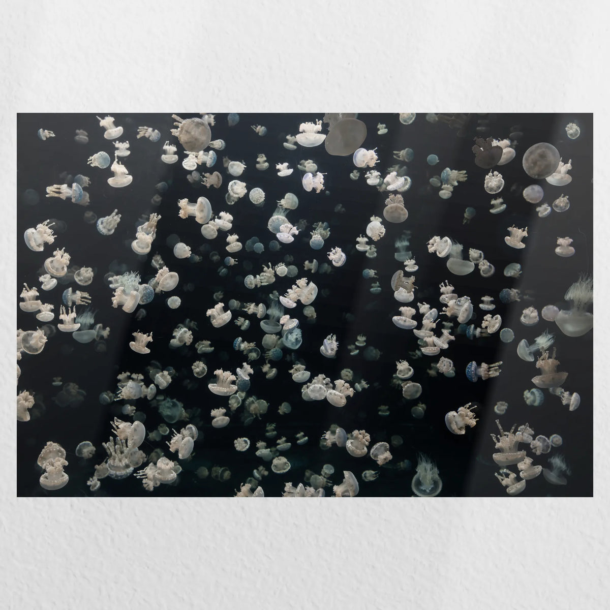 PO-030W020